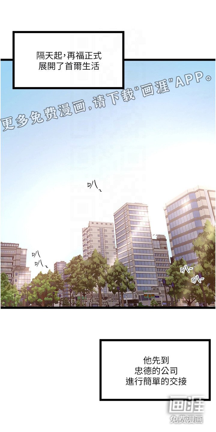 第11章：适应期