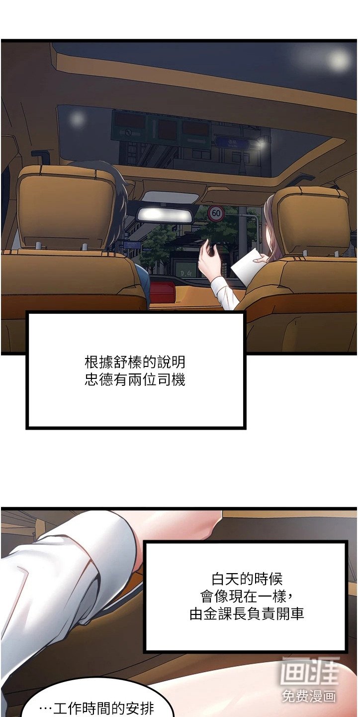 第11章：适应期