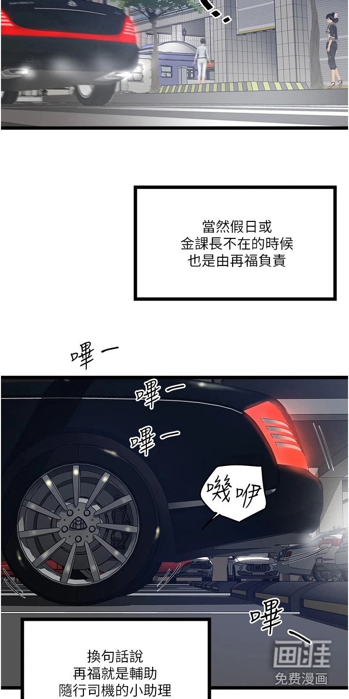 第11章：适应期