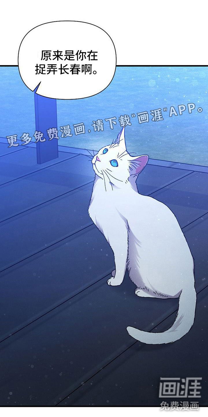第13章：下雨天
