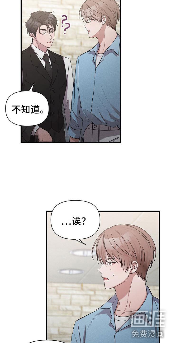 第19章：厚脸皮
