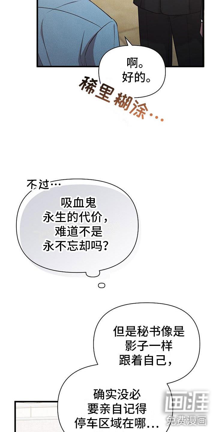 第19章：厚脸皮