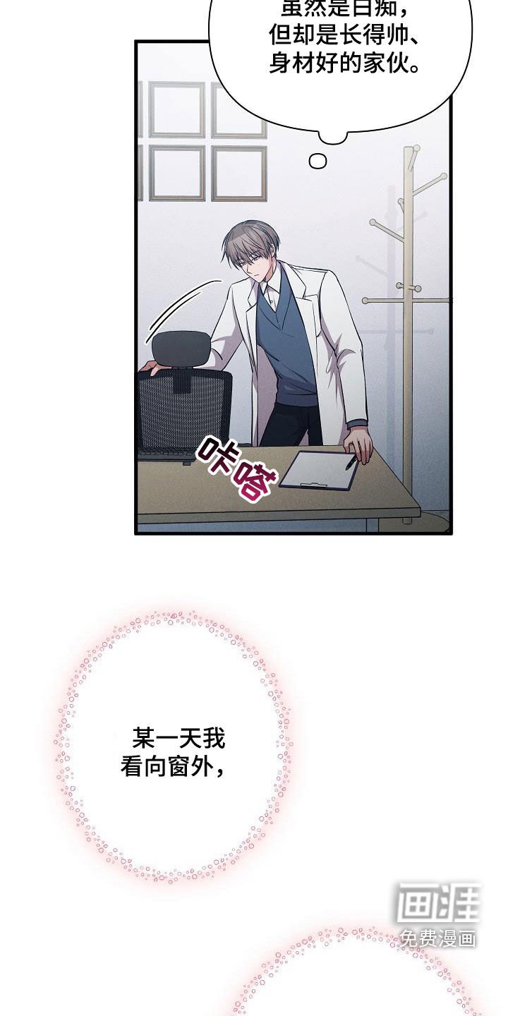 第40章：恋爱史