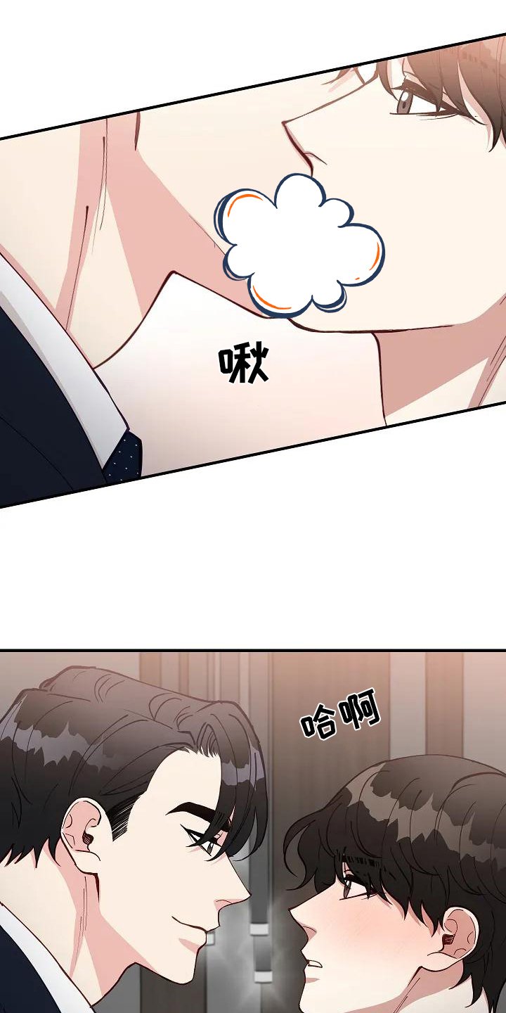 第3章：表白