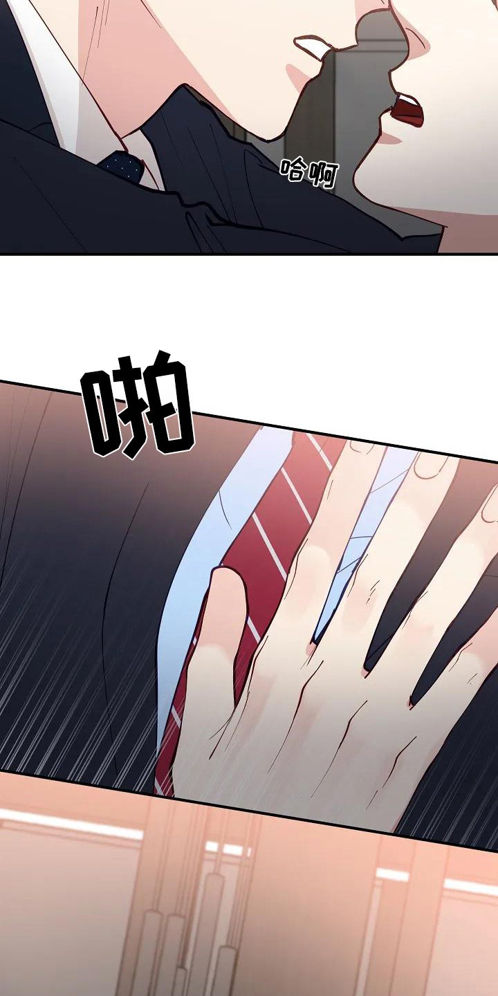 第3章：表白