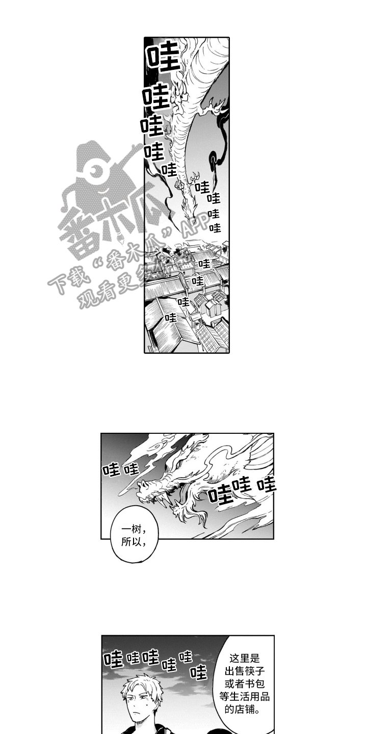 第15章：爱好