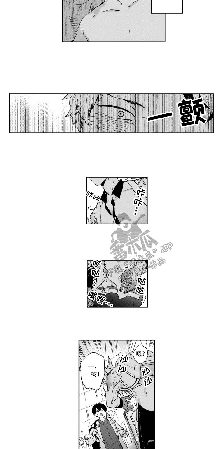 第6章：建议