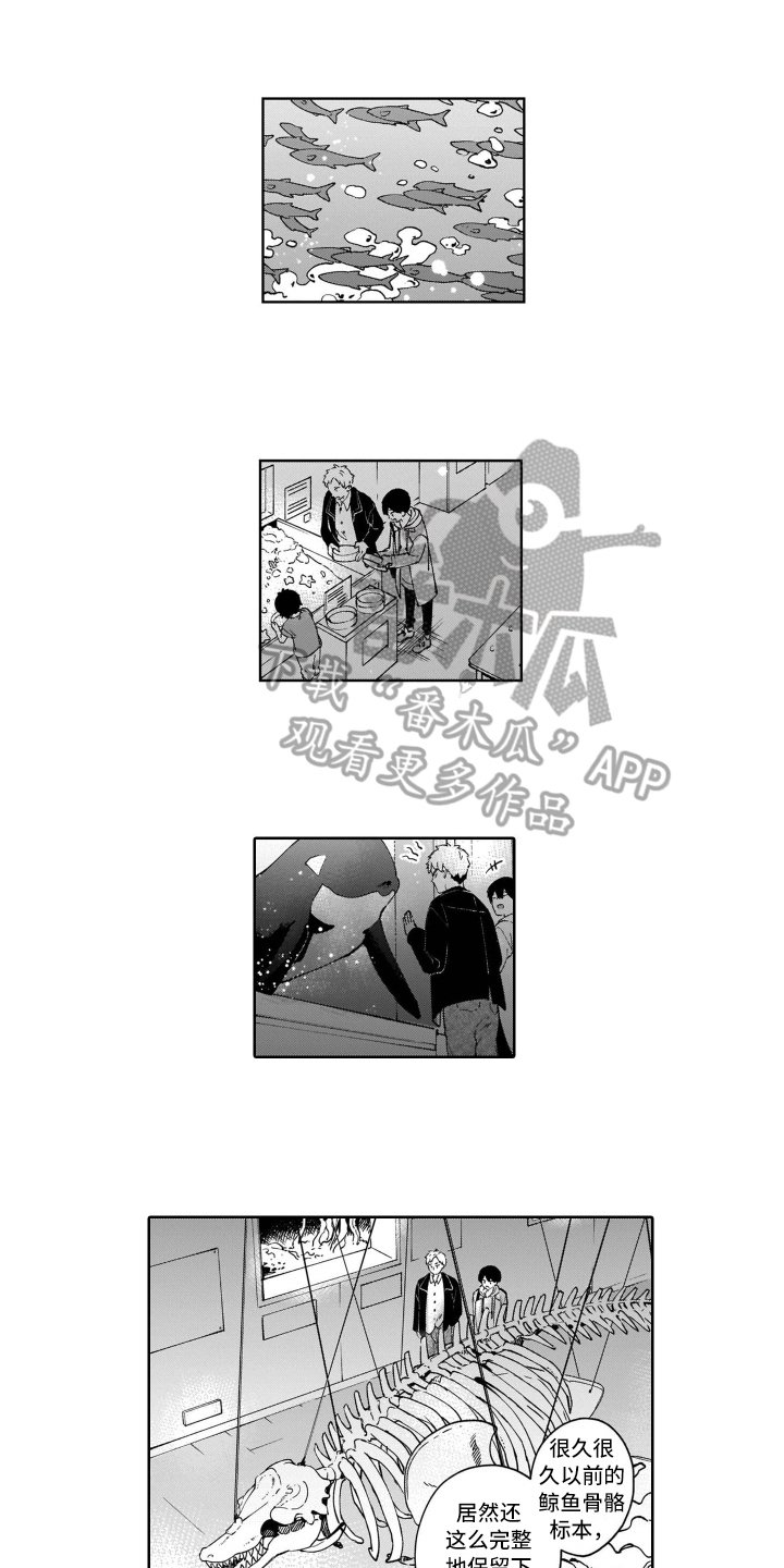 第7章：开心
