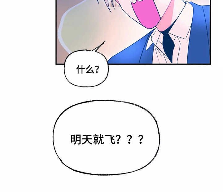 第17章：旅行