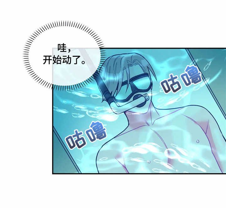 第21章：很显眼