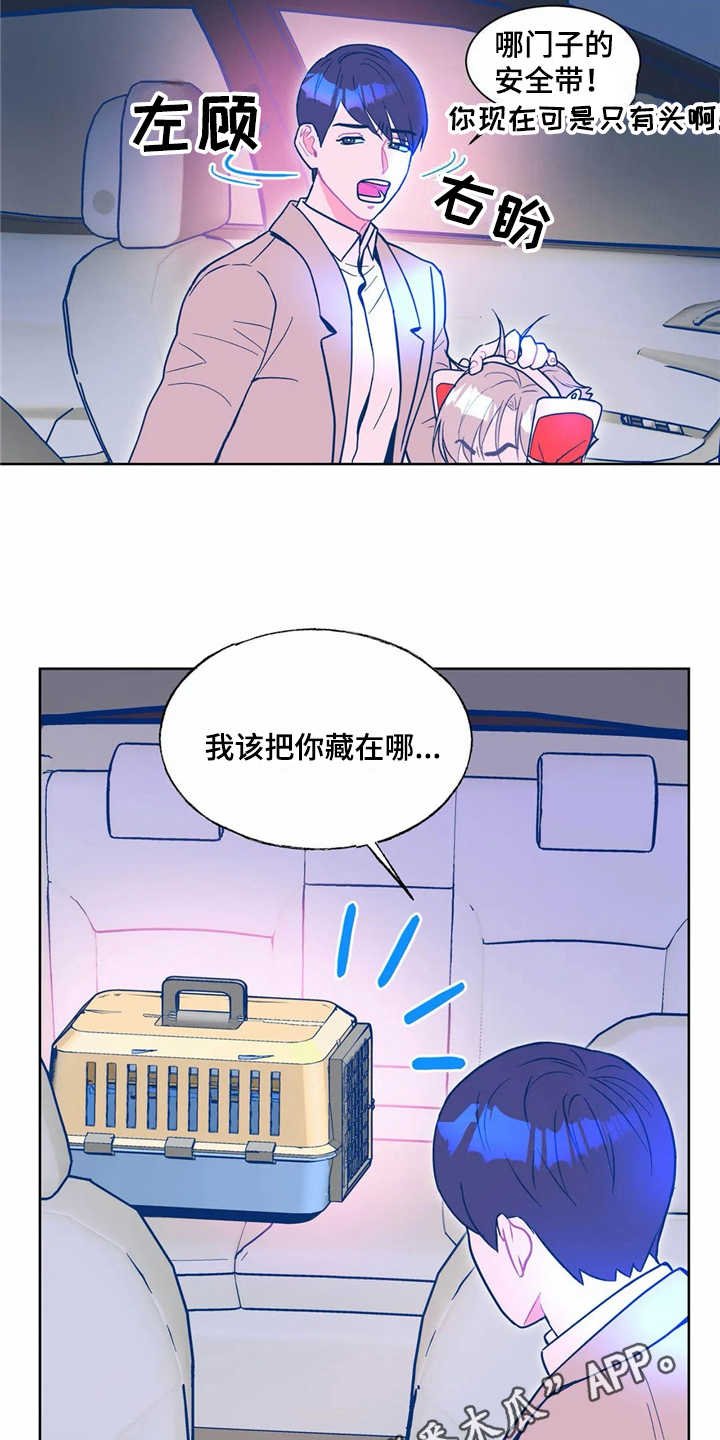 第8章：潜入