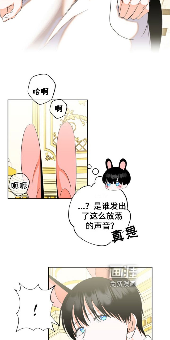 第6章：包扎