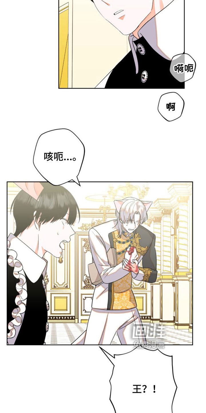 第6章：包扎