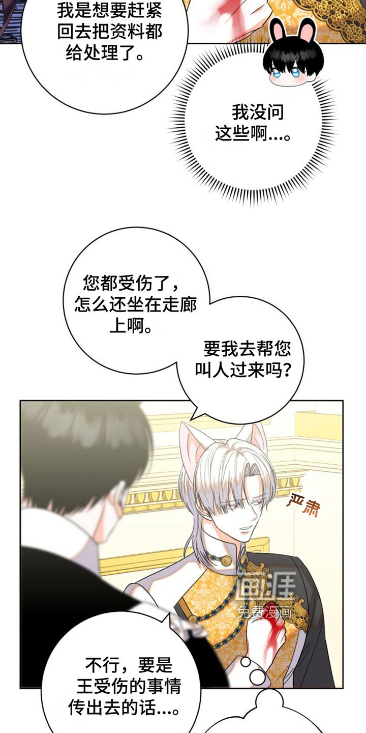 第6章：包扎