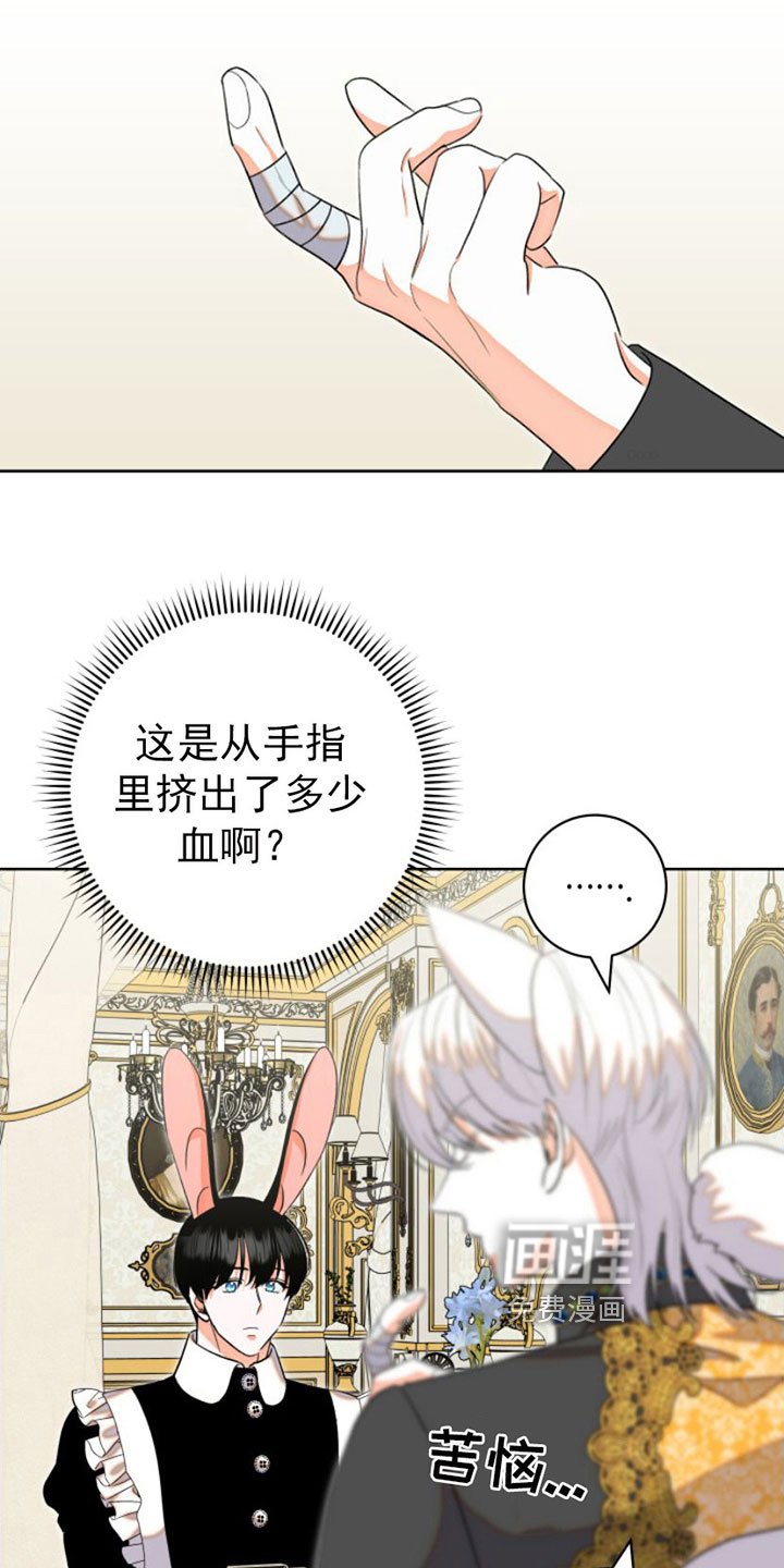 第6章：包扎