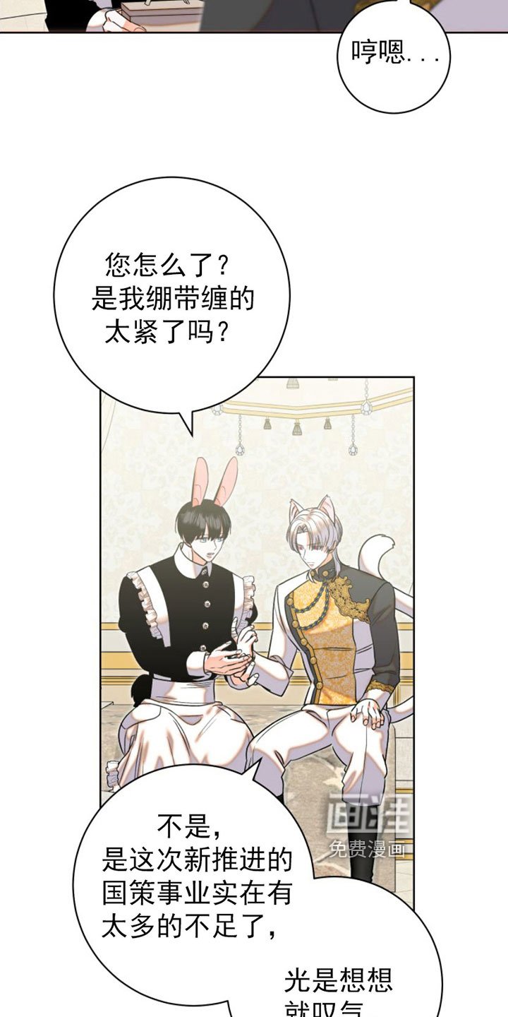 第6章：包扎