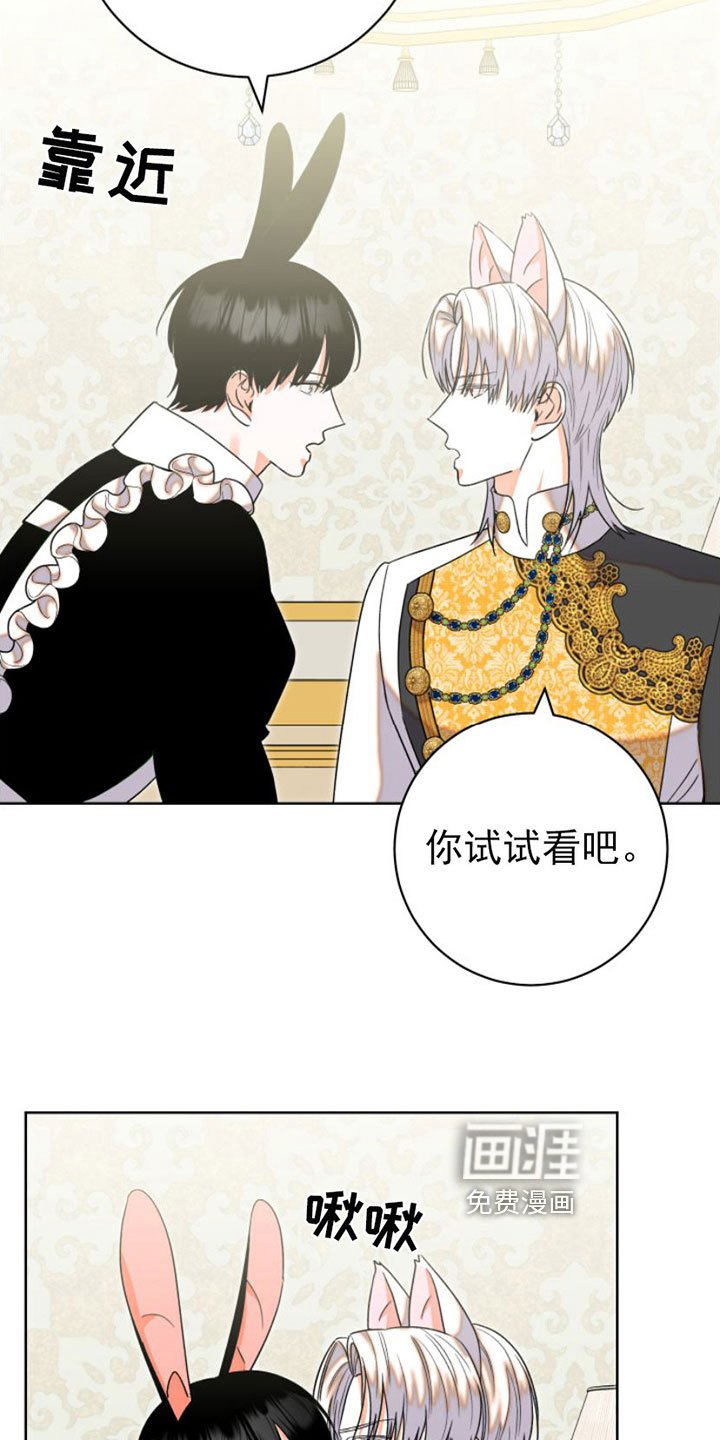 第6章：包扎