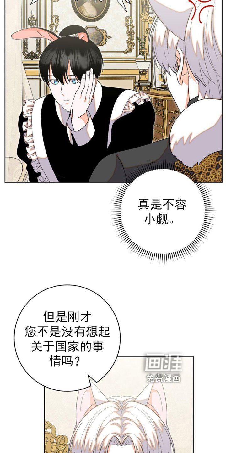 第6章：包扎