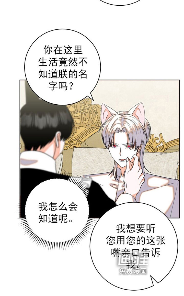 第6章：包扎