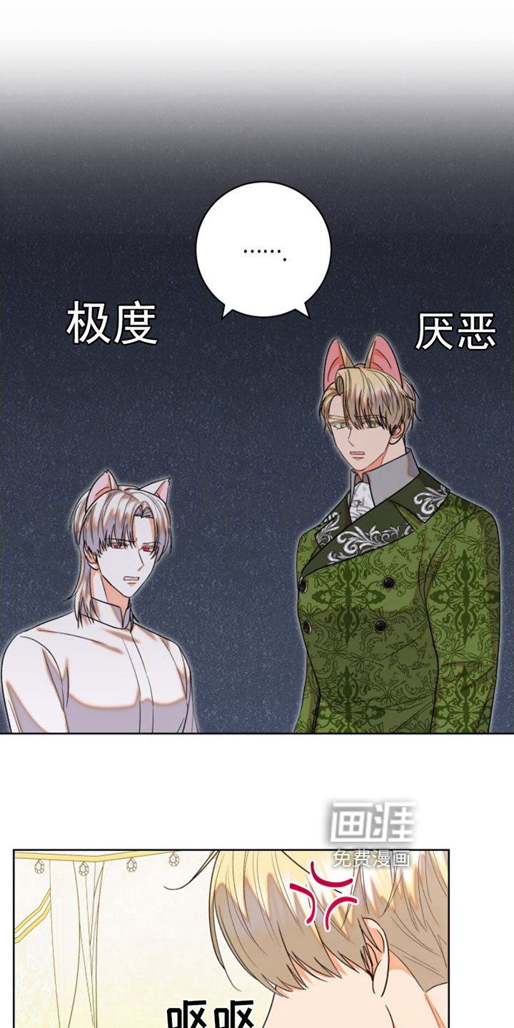 第7章：比试