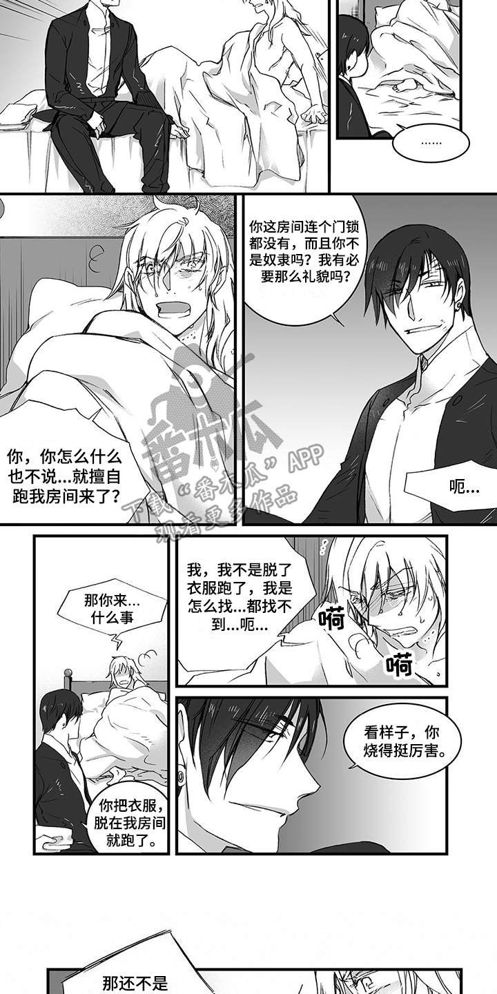 第11章：上药