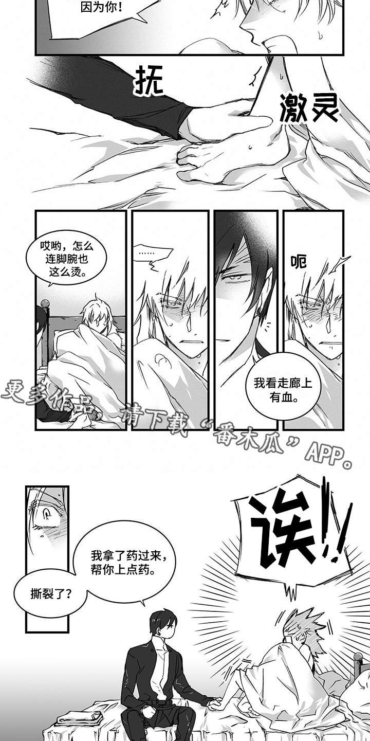 第11章：上药