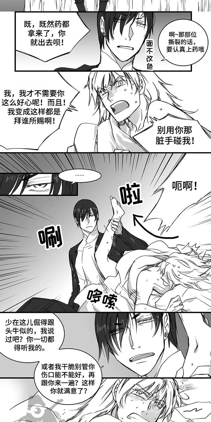 第11章：上药