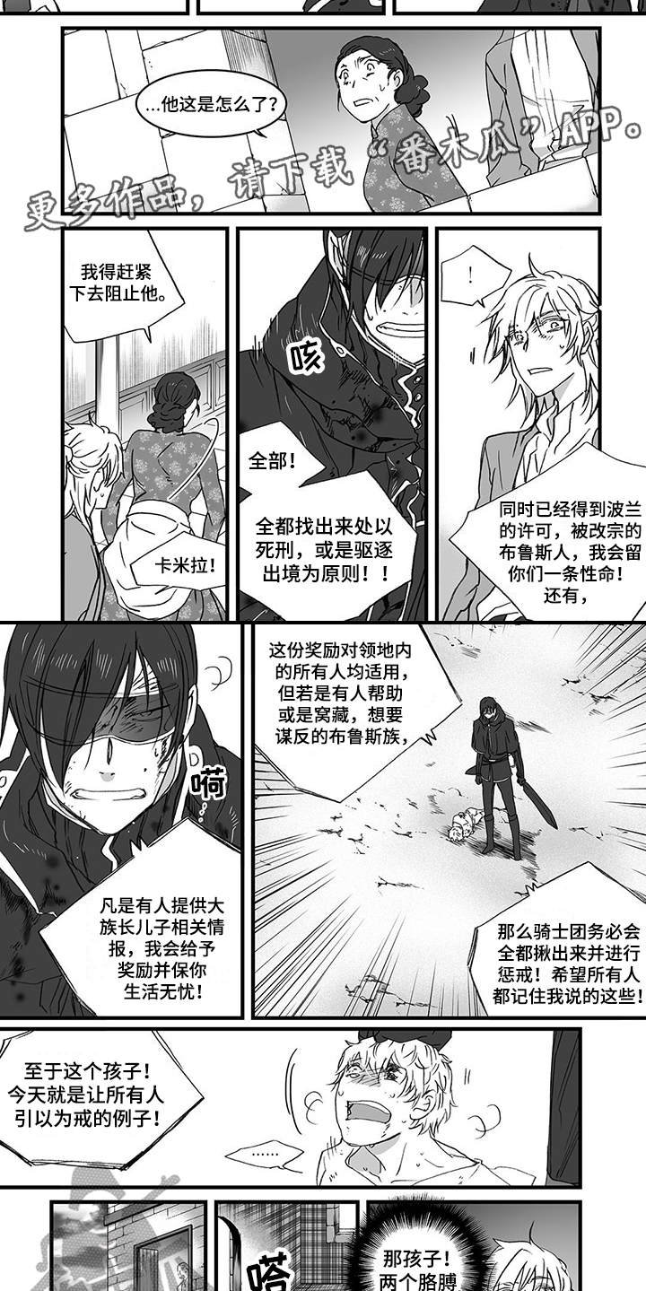 第17章：无情