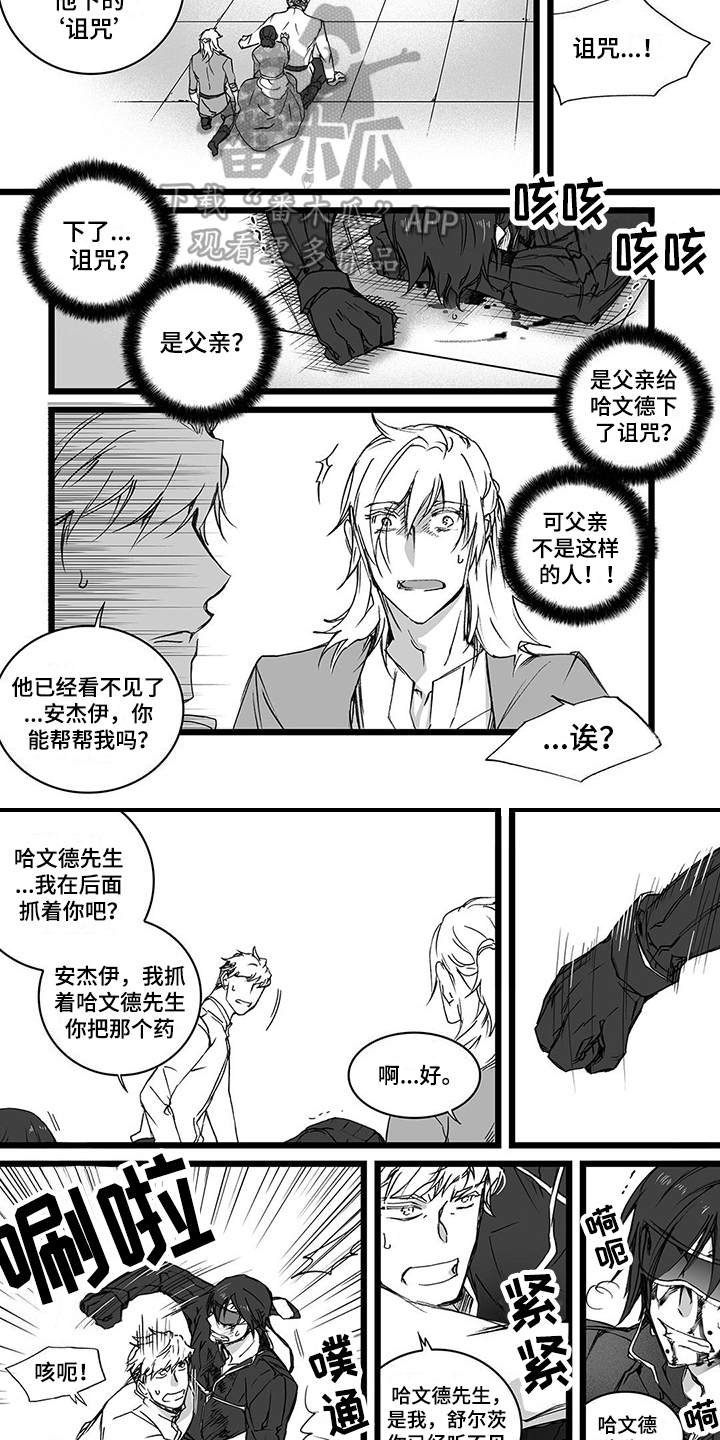 第20章：诅咒