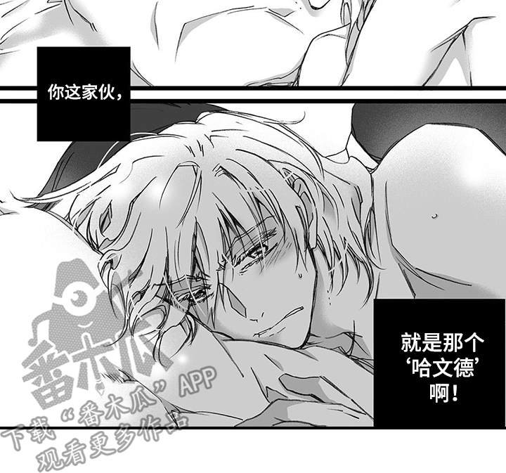 第23章：纠结