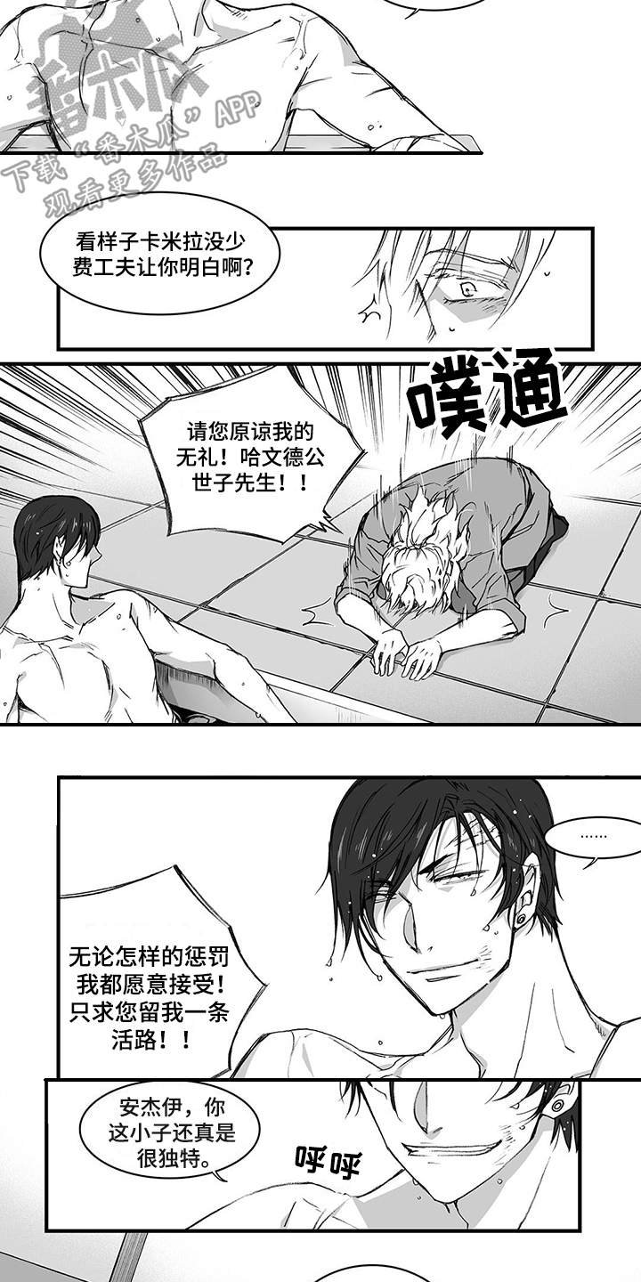 第5章：道歉
