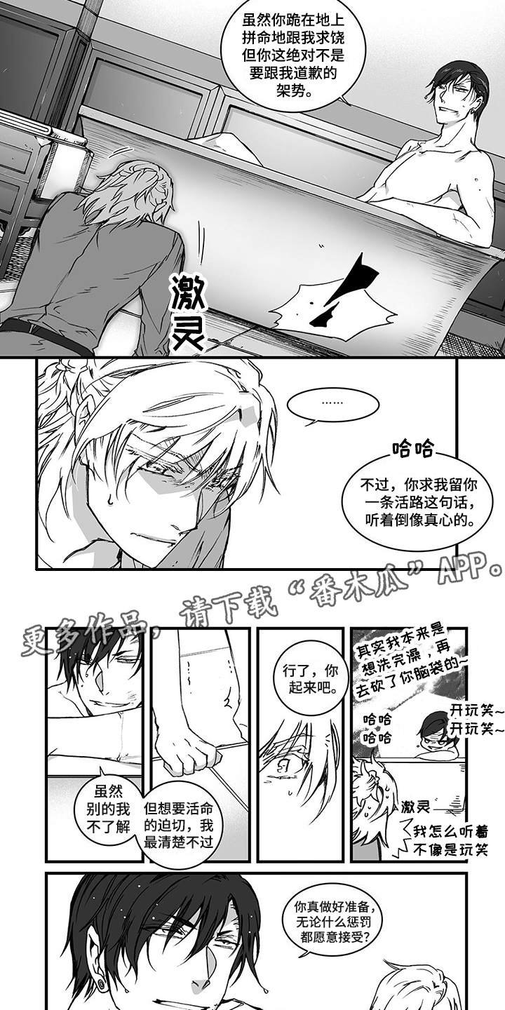 第5章：道歉