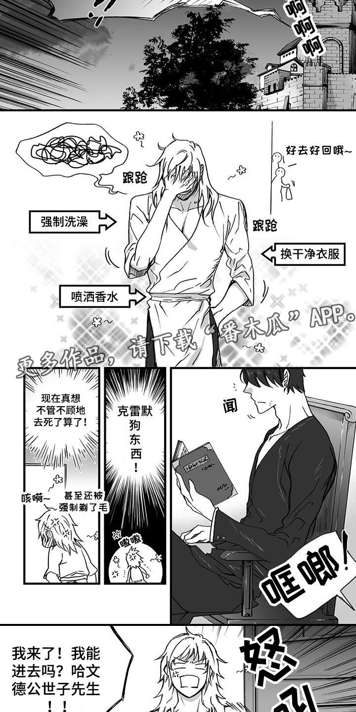 第6章：认命