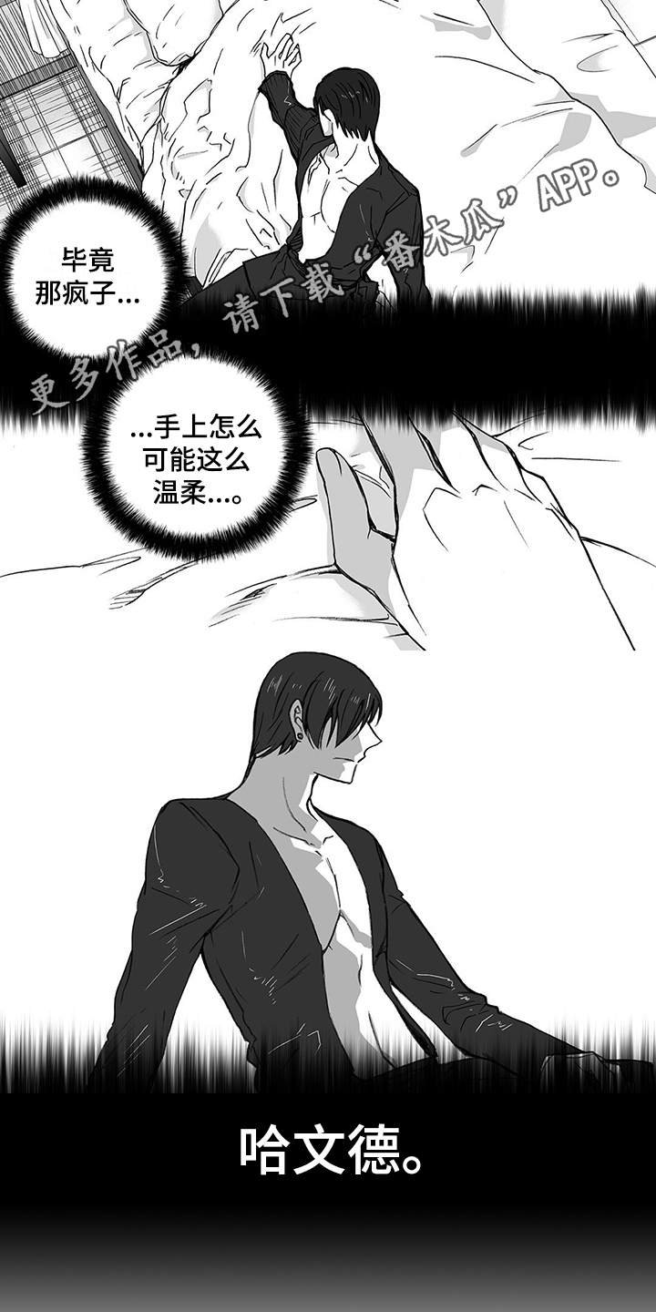第8章：骑士团