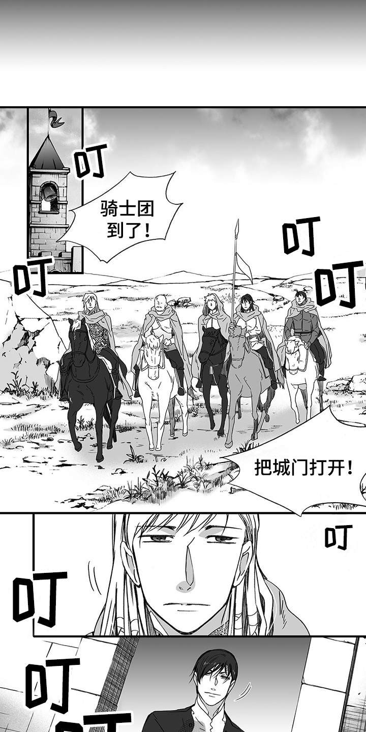 第8章：骑士团