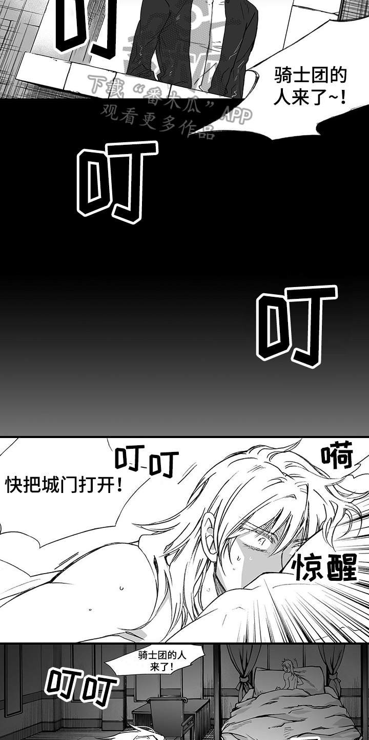 第8章：骑士团