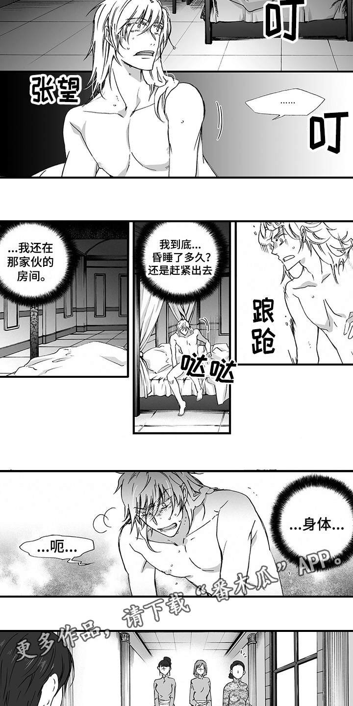 第8章：骑士团