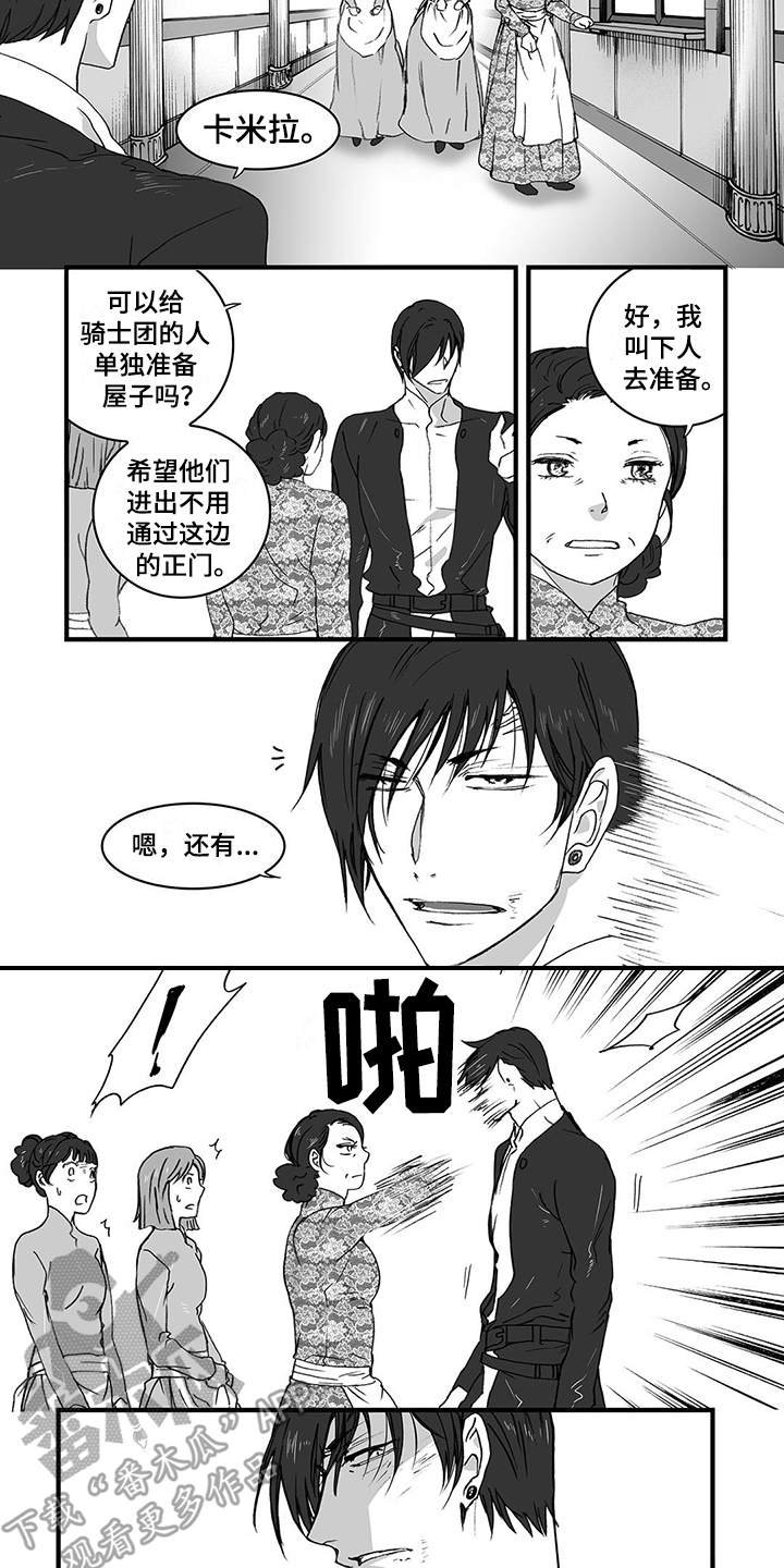 第8章：骑士团
