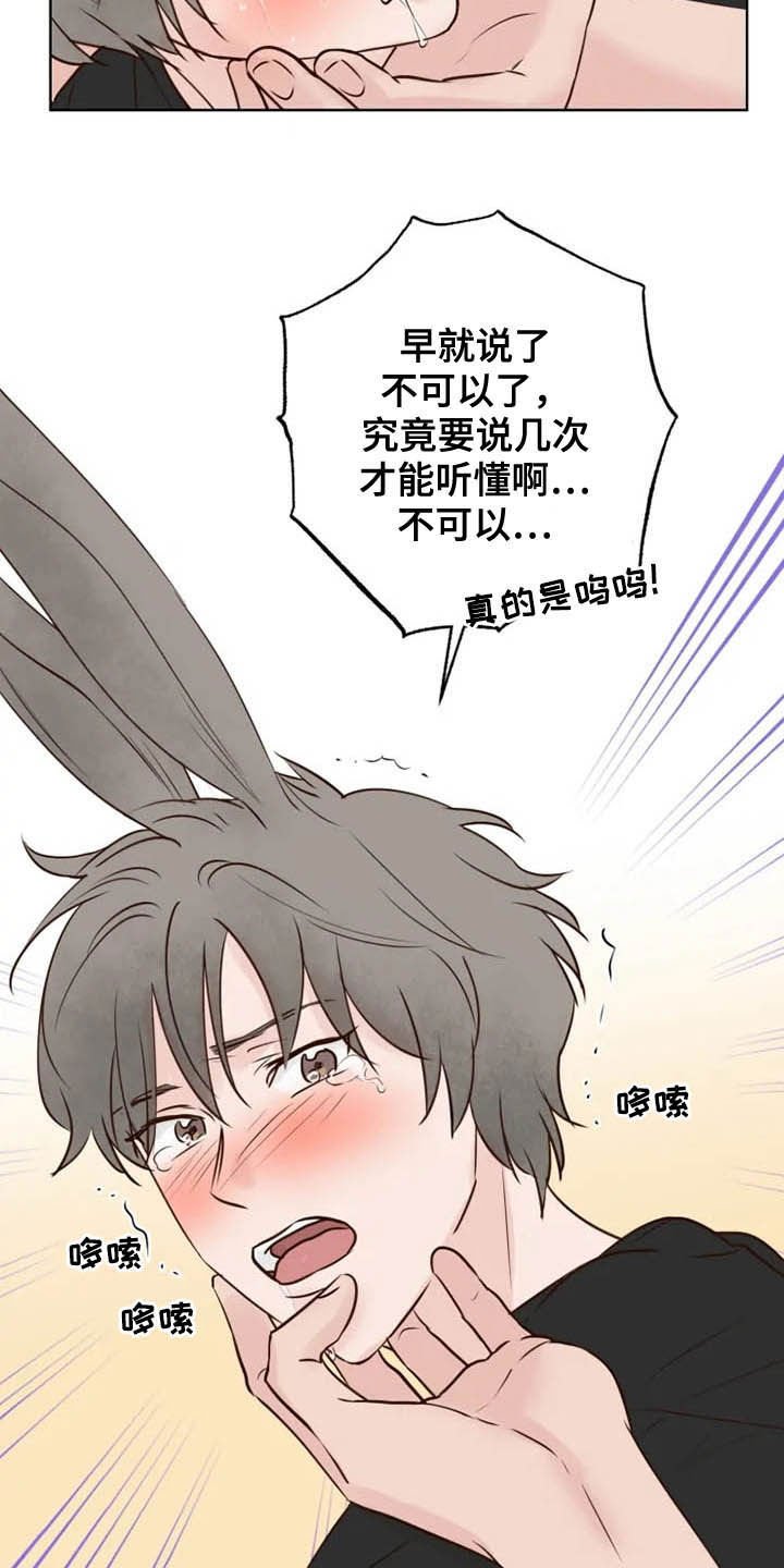 第15章：任重道远