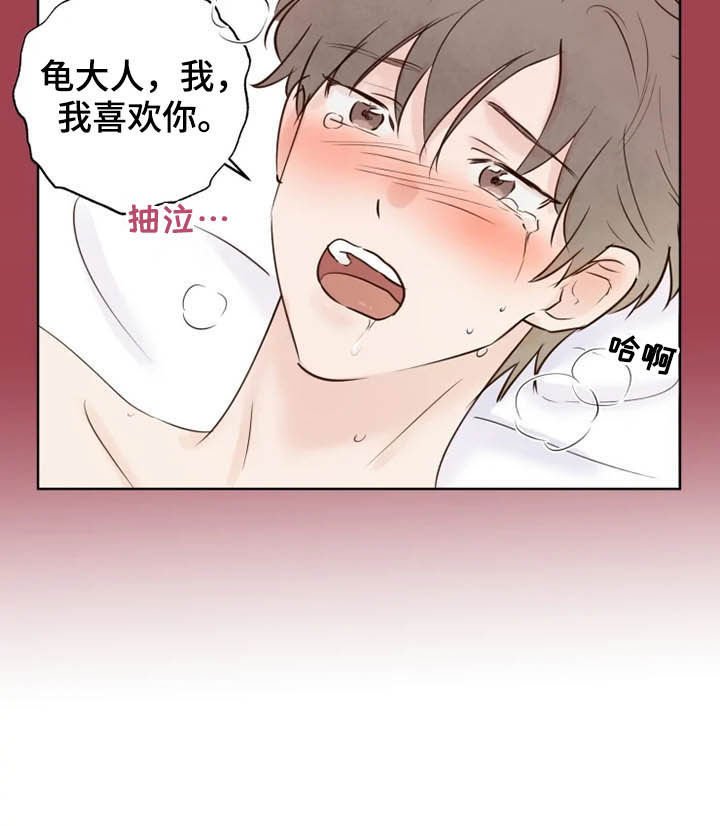 第19章：调查