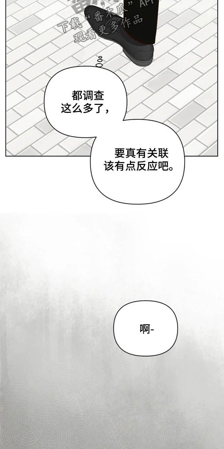 第19章：调查