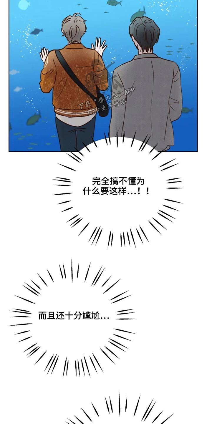 第22章：公园
