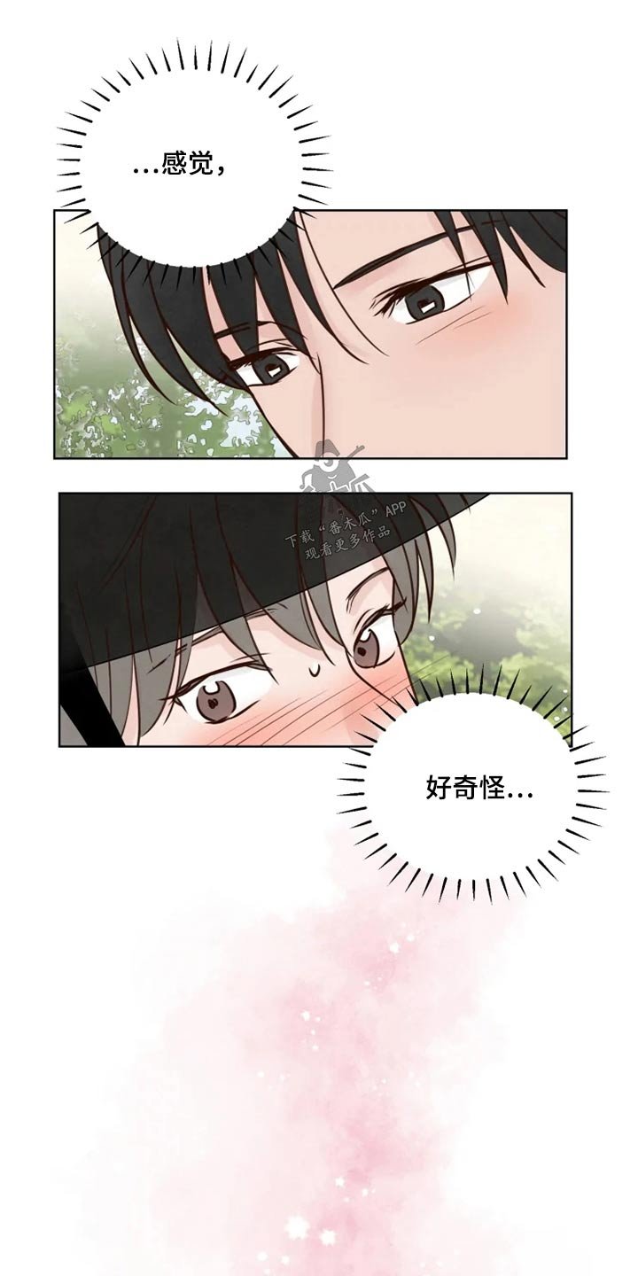 第26章：怎么办