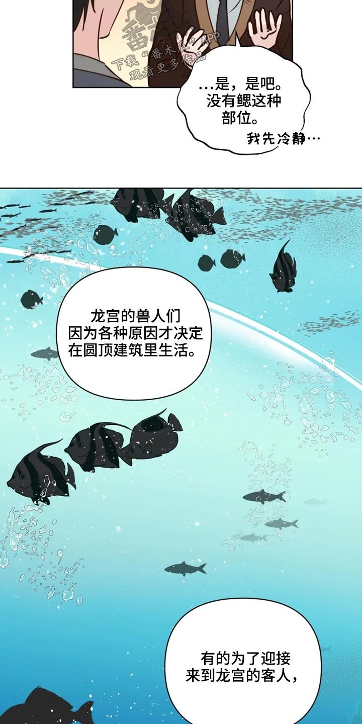 第30章：检测