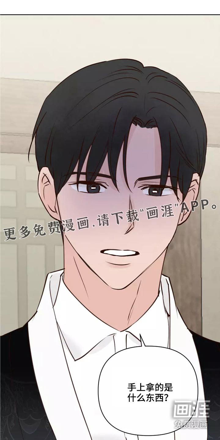 第43章：协议袋子