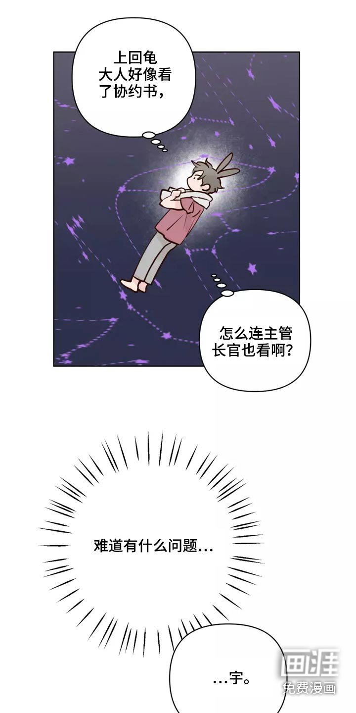 第43章：协议袋子