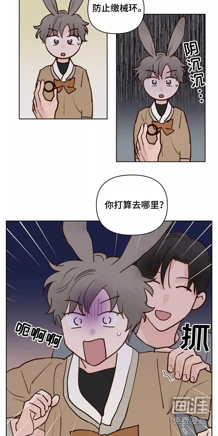 第50章：让我看看