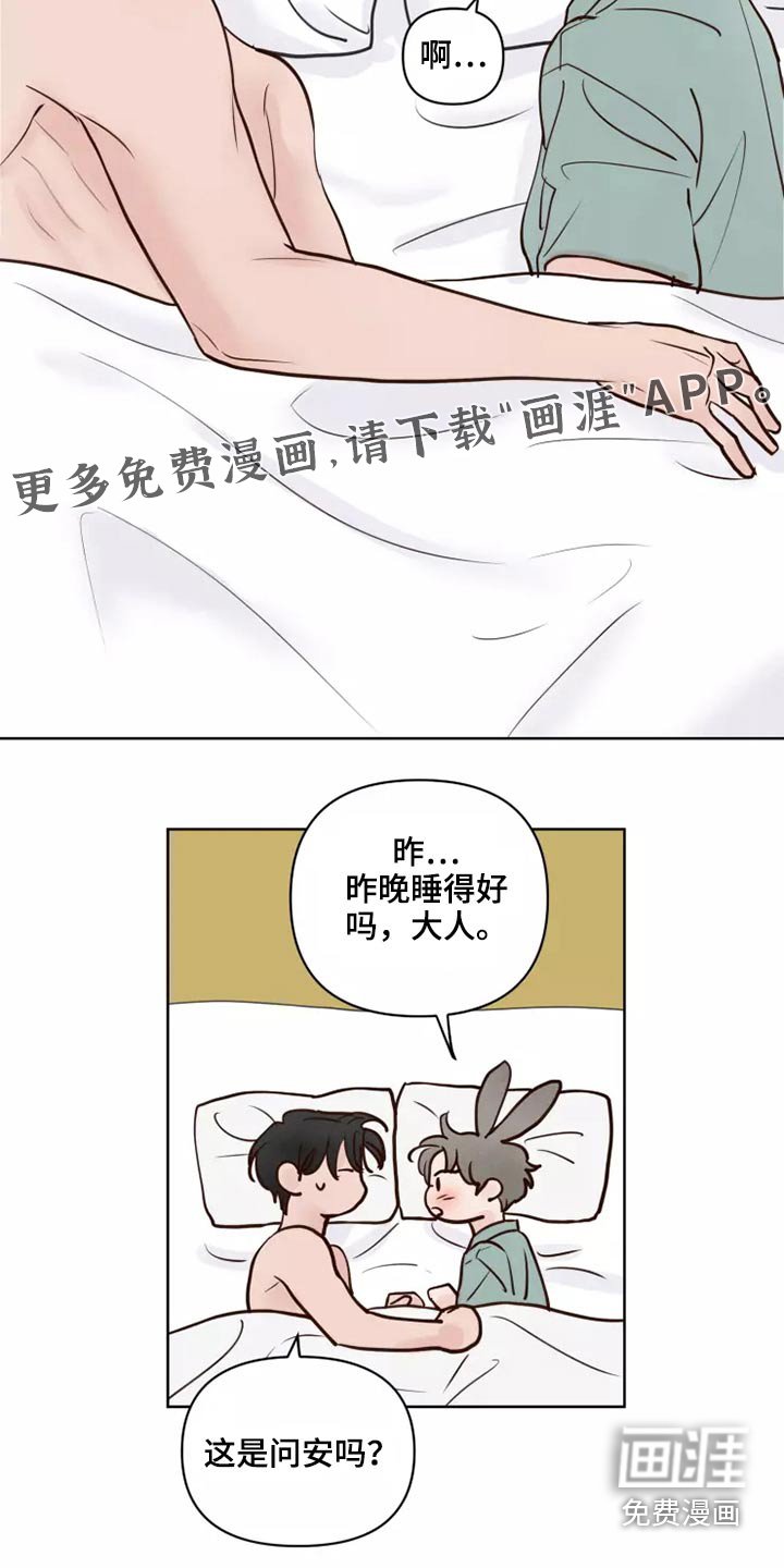 第50章：让我看看