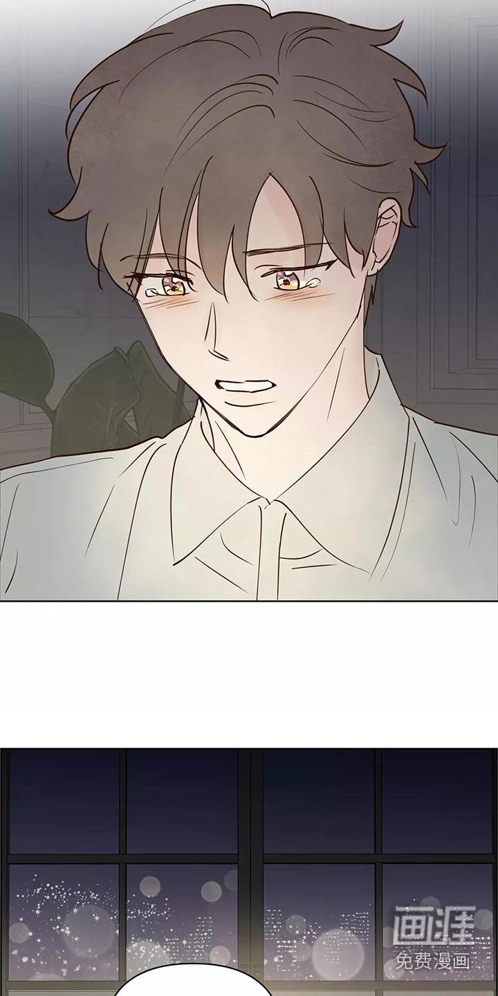 第62章：协议书