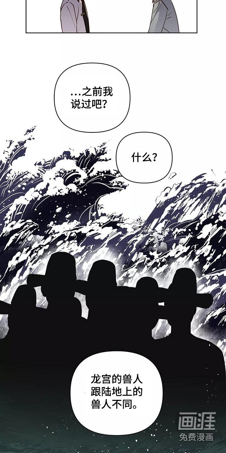 第62章：协议书